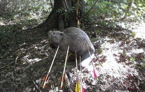 Concours 3D du 1erJuillet