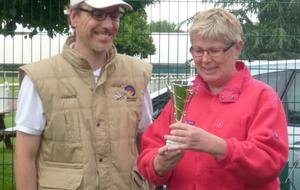 Le roitelet... Enfin la Roitelette!