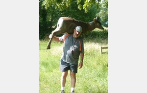 Il faut beaucoup de force pour porter... 