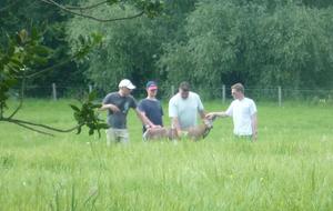 Il faut prendre soin des bêtes...