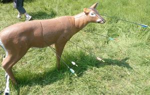 Des tirs plus ou moins précis...