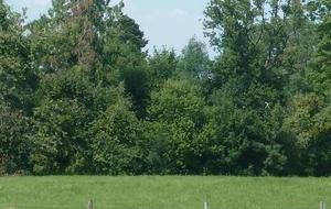 La plus longue distance: la cible est à gauche, le bras de l'archer à droite!