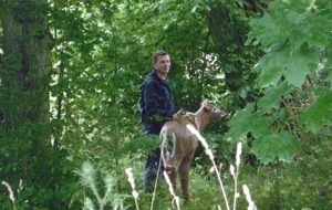 On a retrouvé bambi!!!