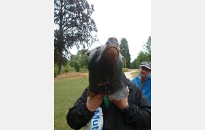 Mais?..mais c'est mon ourson préféré!