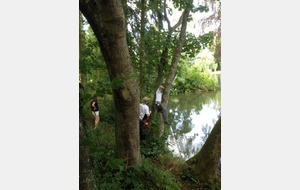 un arc ça sert a tout..