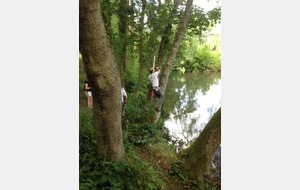 ah non , il cherche une flèche....