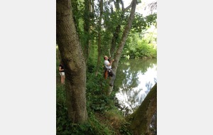 c 'est pas là le piquet bleu....