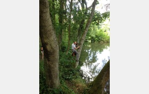 c'est pas tout ça , mais faut redescendre