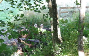 On est pas chouette nous ???