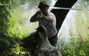 Non... pat... tes zondes n'hypnotisent personne...