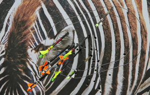 Stage Elites Régionales Adultes &quot;Tir en Campagne&quot;