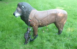 3D La Ferté sous la ville